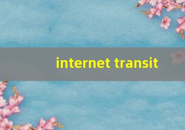 internet transit